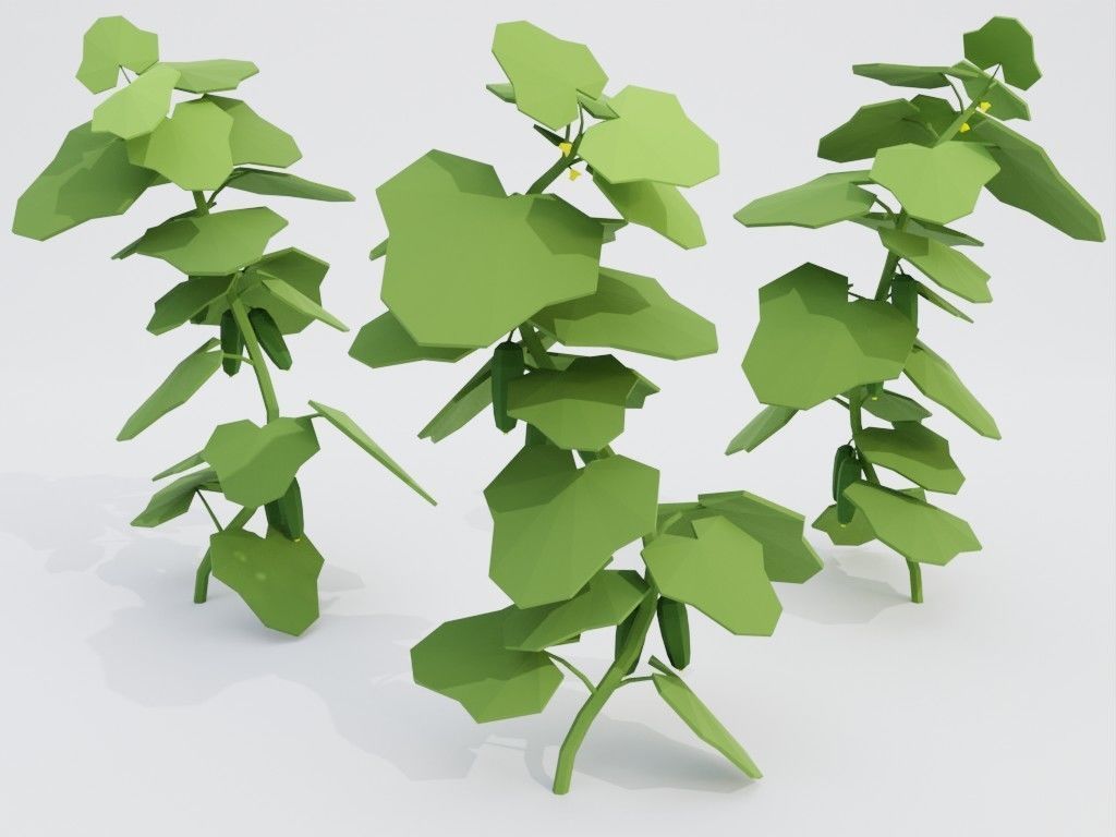 Low poly set of vegetables Low-poly 3D model_33