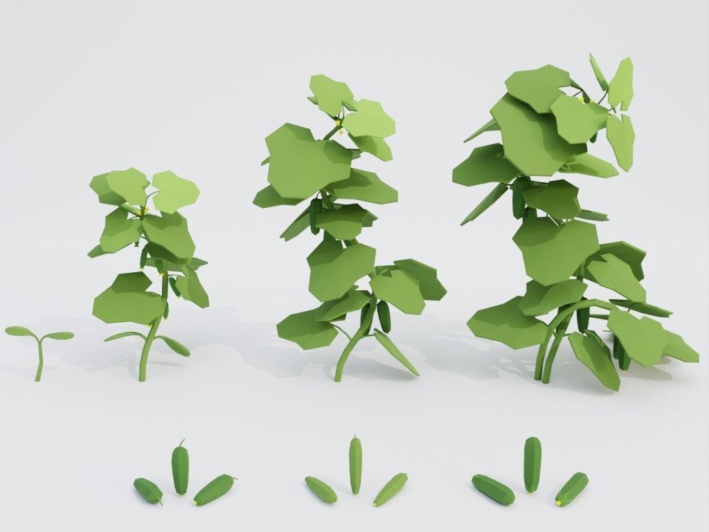 Low poly set of vegetables Low-poly 3D model_3