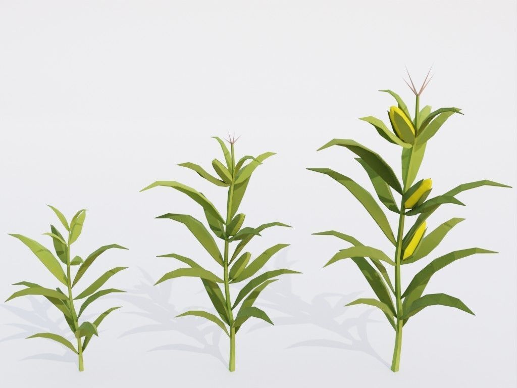 Low poly set of vegetables Low-poly 3D model_30