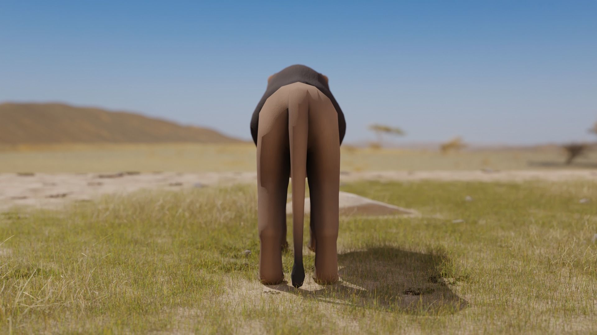 Lion Lioness Low-poly 3D model_5