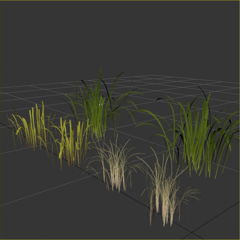 Uncut forest grass collection 03 3D model_4
