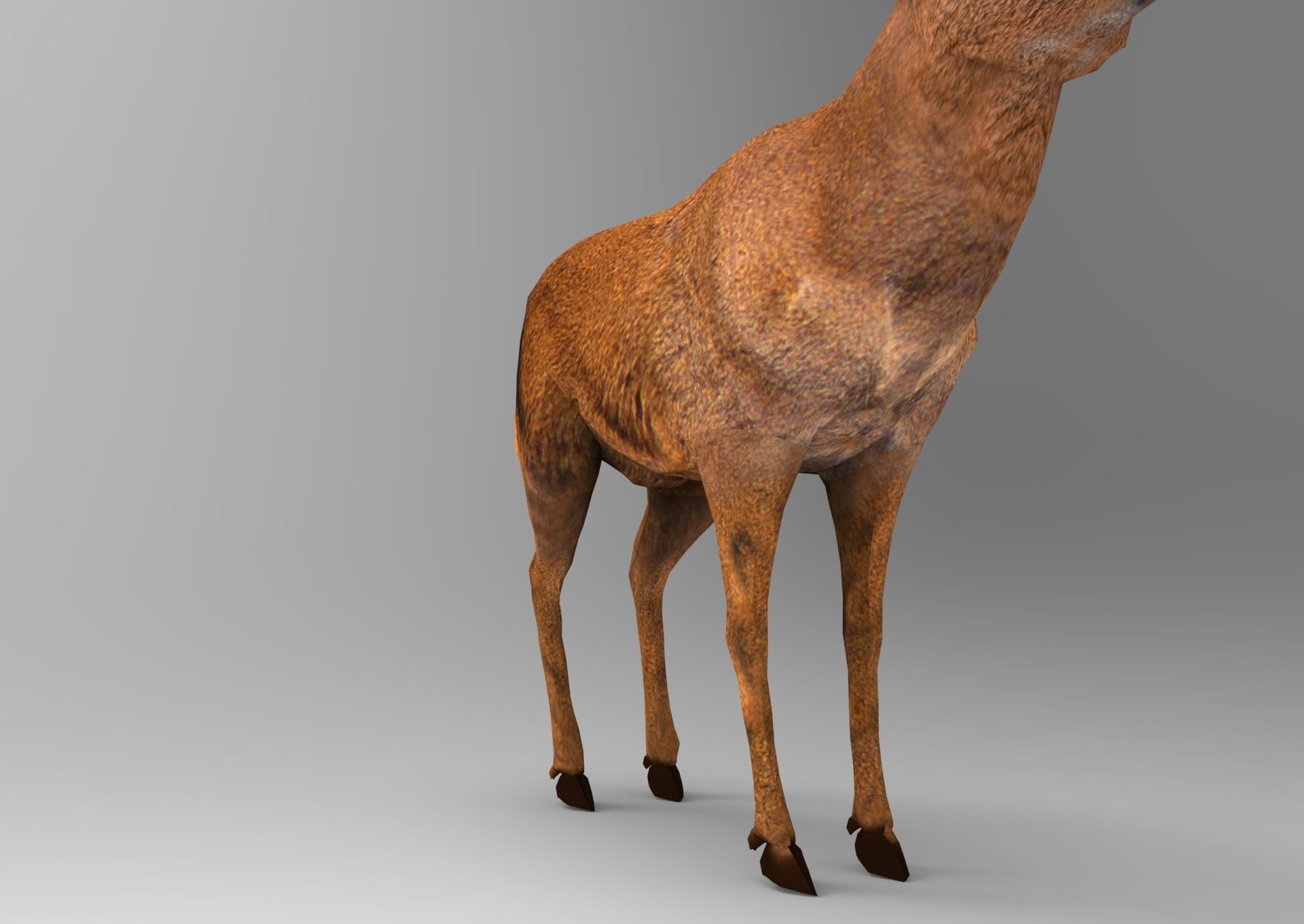 Red Game ready low poly deer model  Low-poly 3D model_19