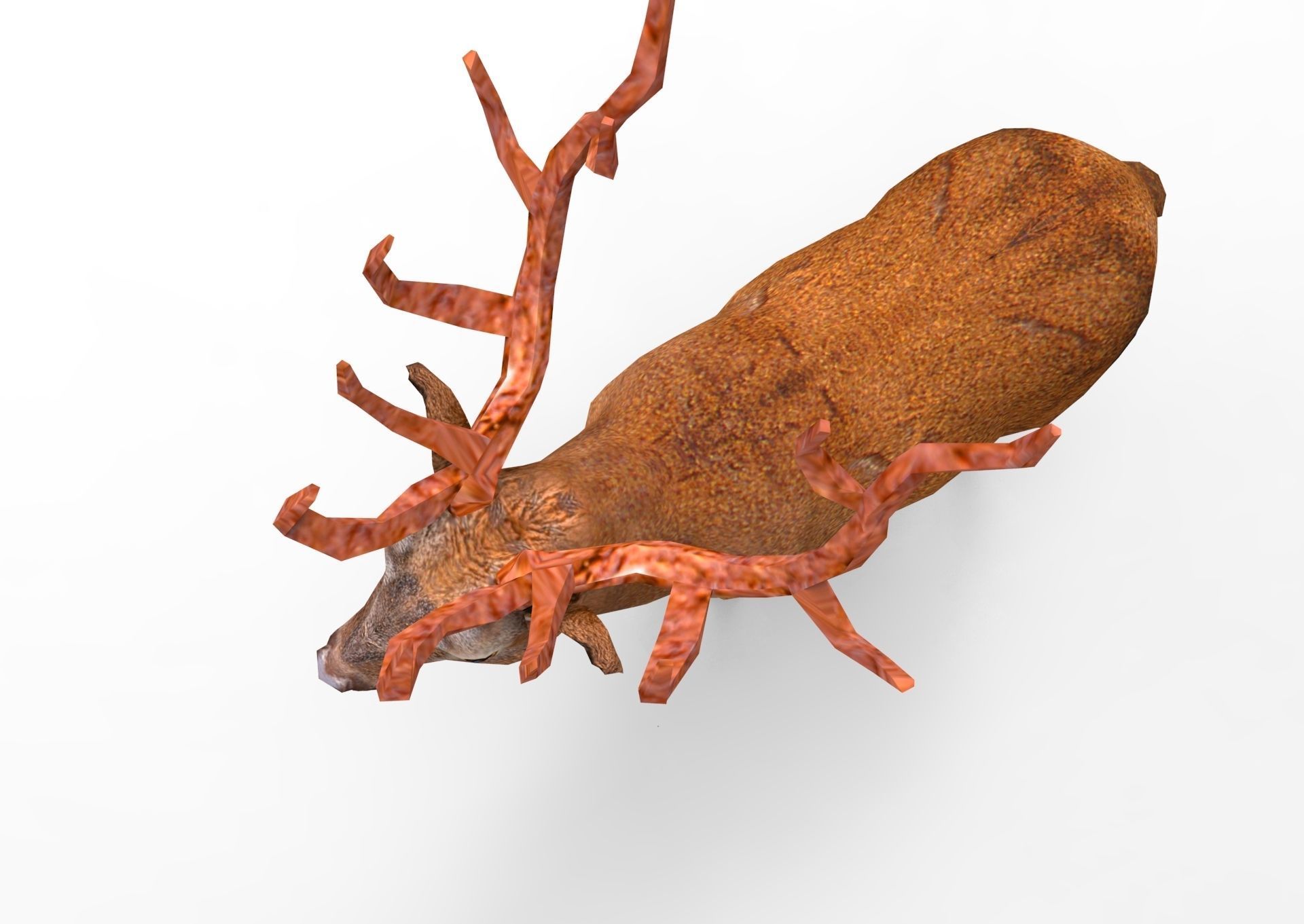 Red Game ready low poly deer model  Low-poly 3D model_23