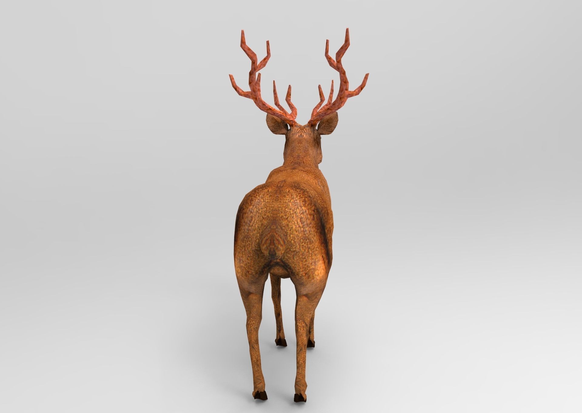 Red Game ready low poly deer model  Low-poly 3D model_3