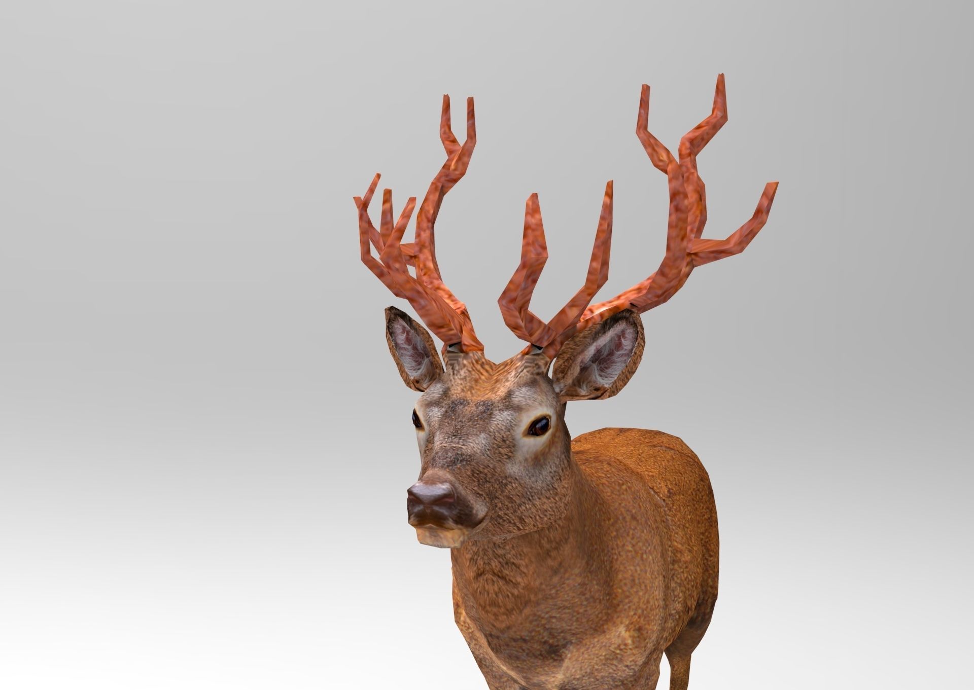 Red Game ready low poly deer model  Low-poly 3D model_12