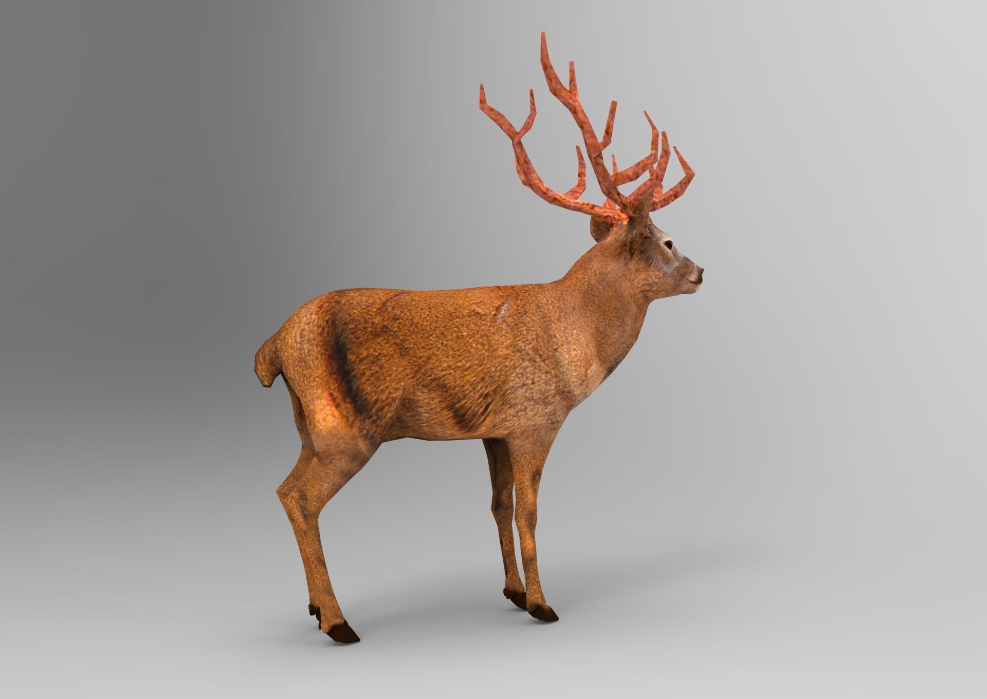 Red Game ready low poly deer model  Low-poly 3D model_7