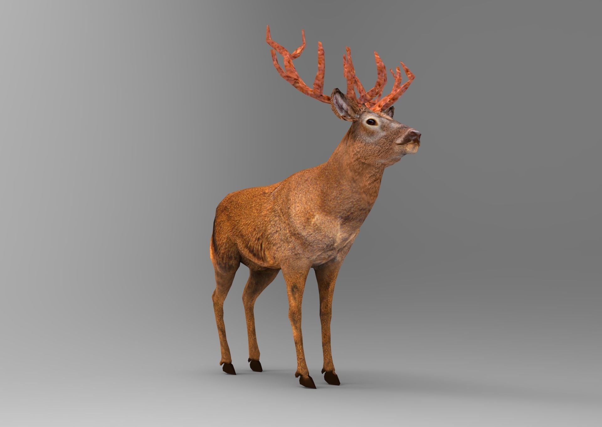 Red Game ready low poly deer model  Low-poly 3D model_9