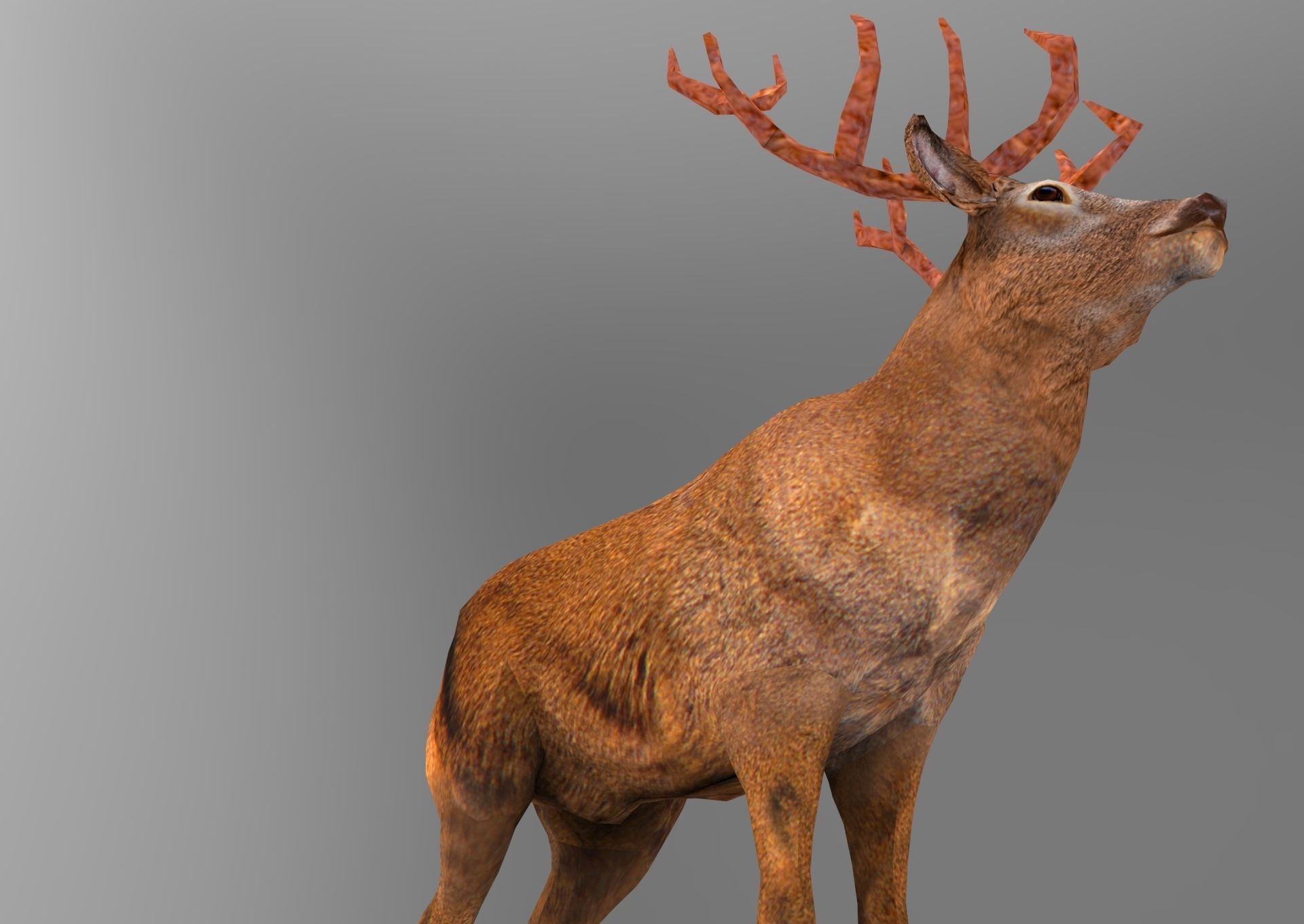 Red Game ready low poly deer model  Low-poly 3D model_18
