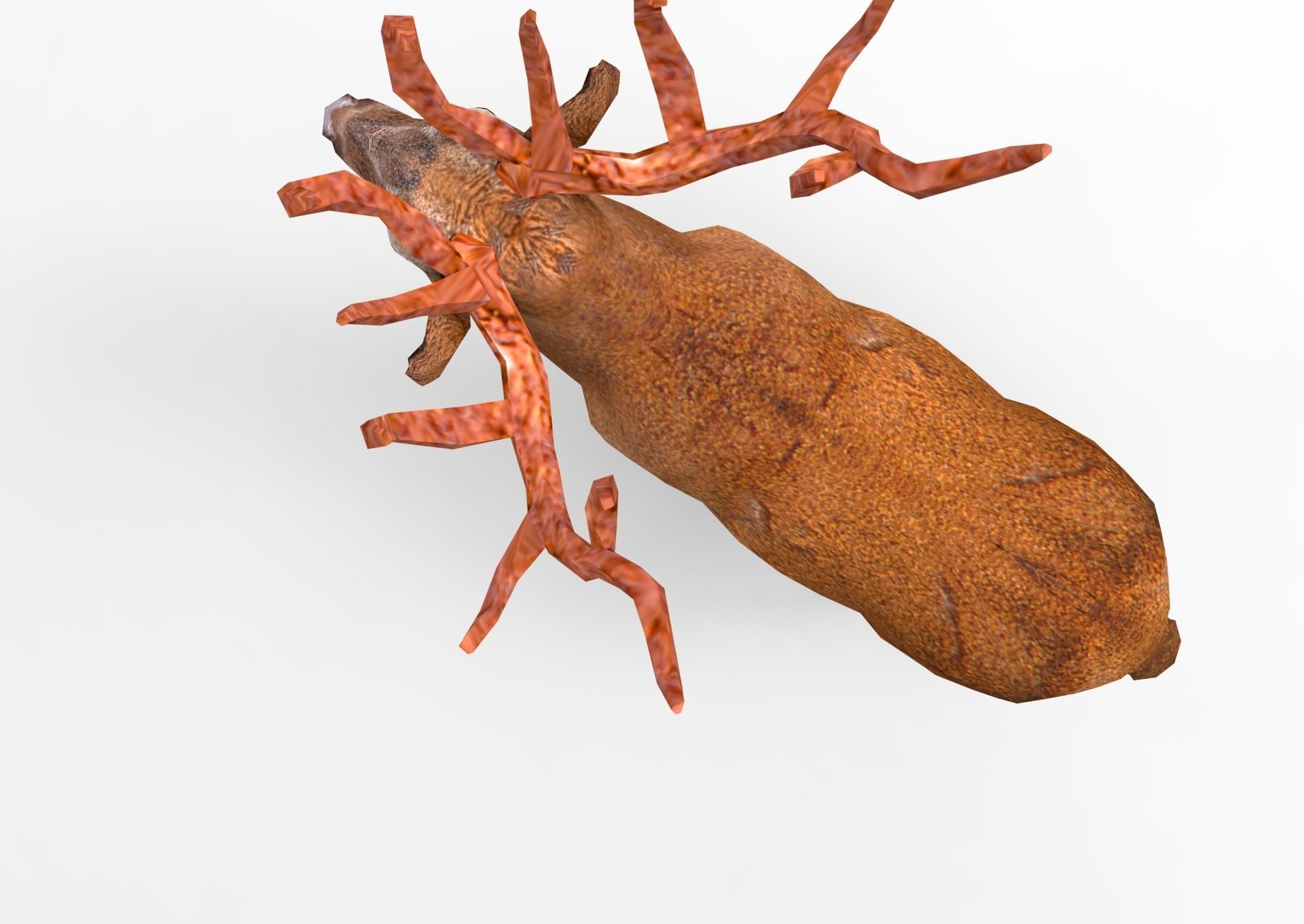 Red Game ready low poly deer model  Low-poly 3D model_21