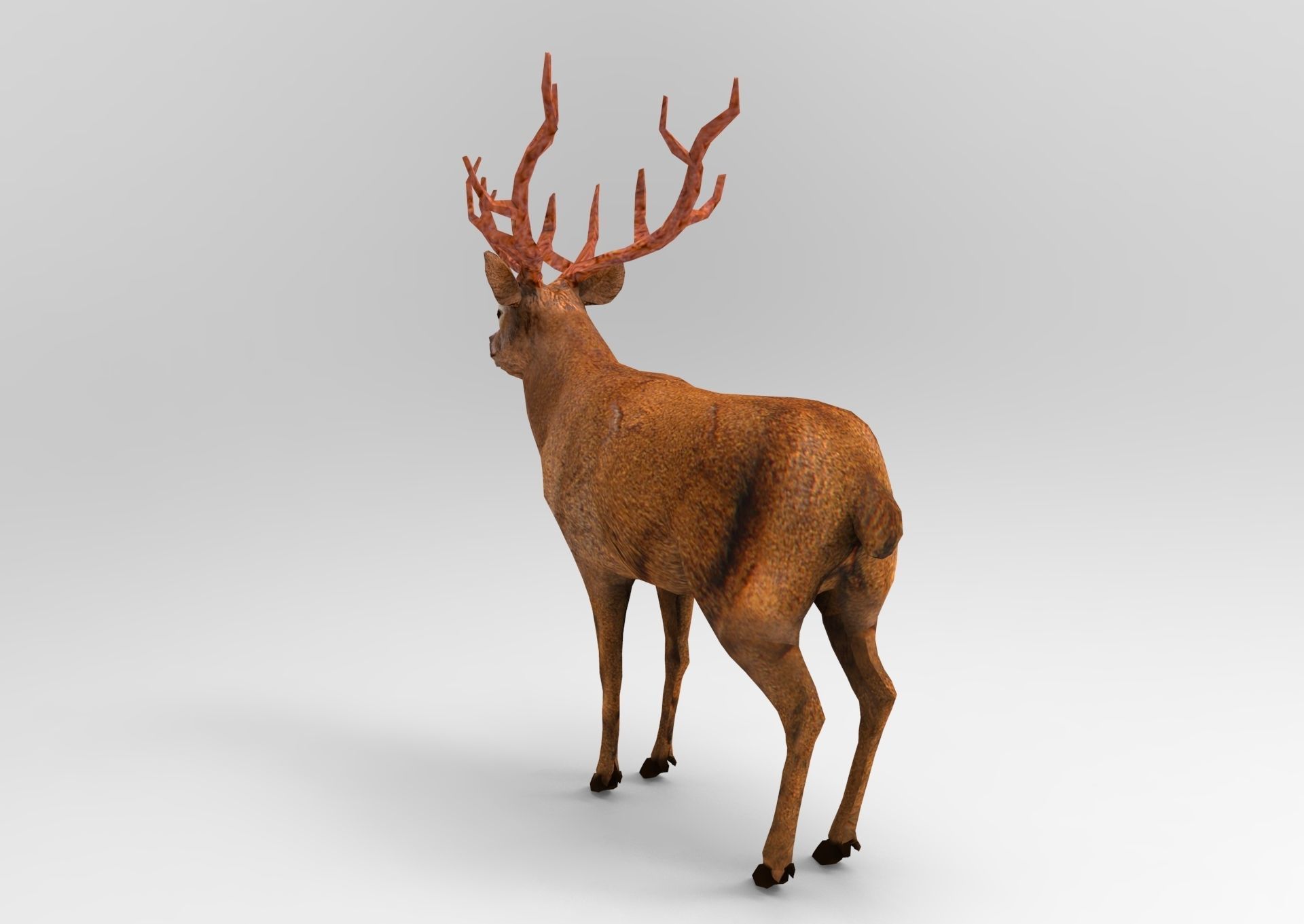 Red Game ready low poly deer model  Low-poly 3D model_2