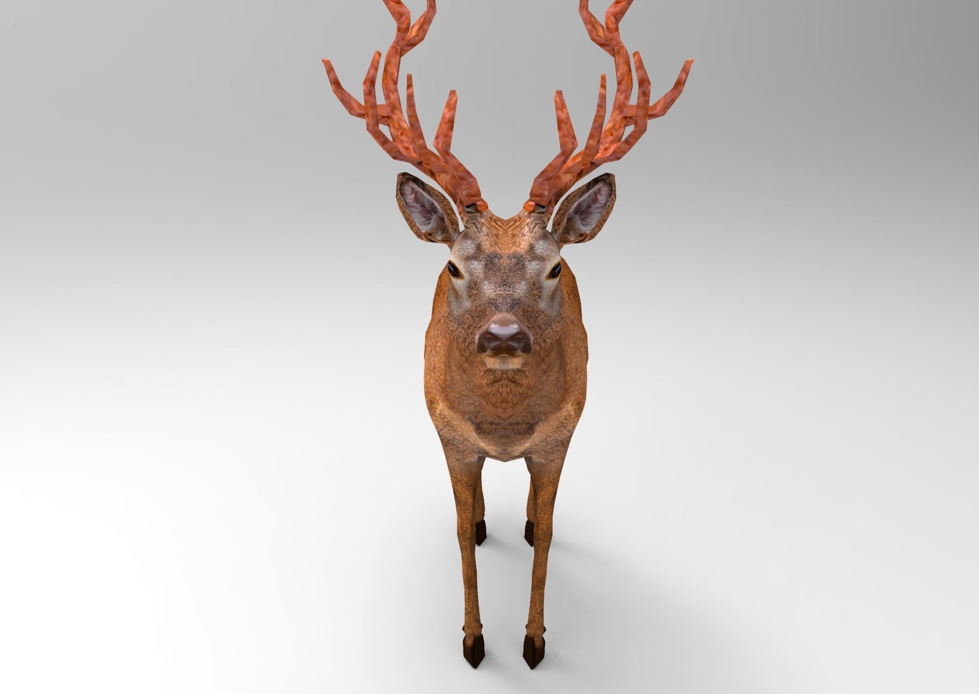 Red Game ready low poly deer model  Low-poly 3D model_24