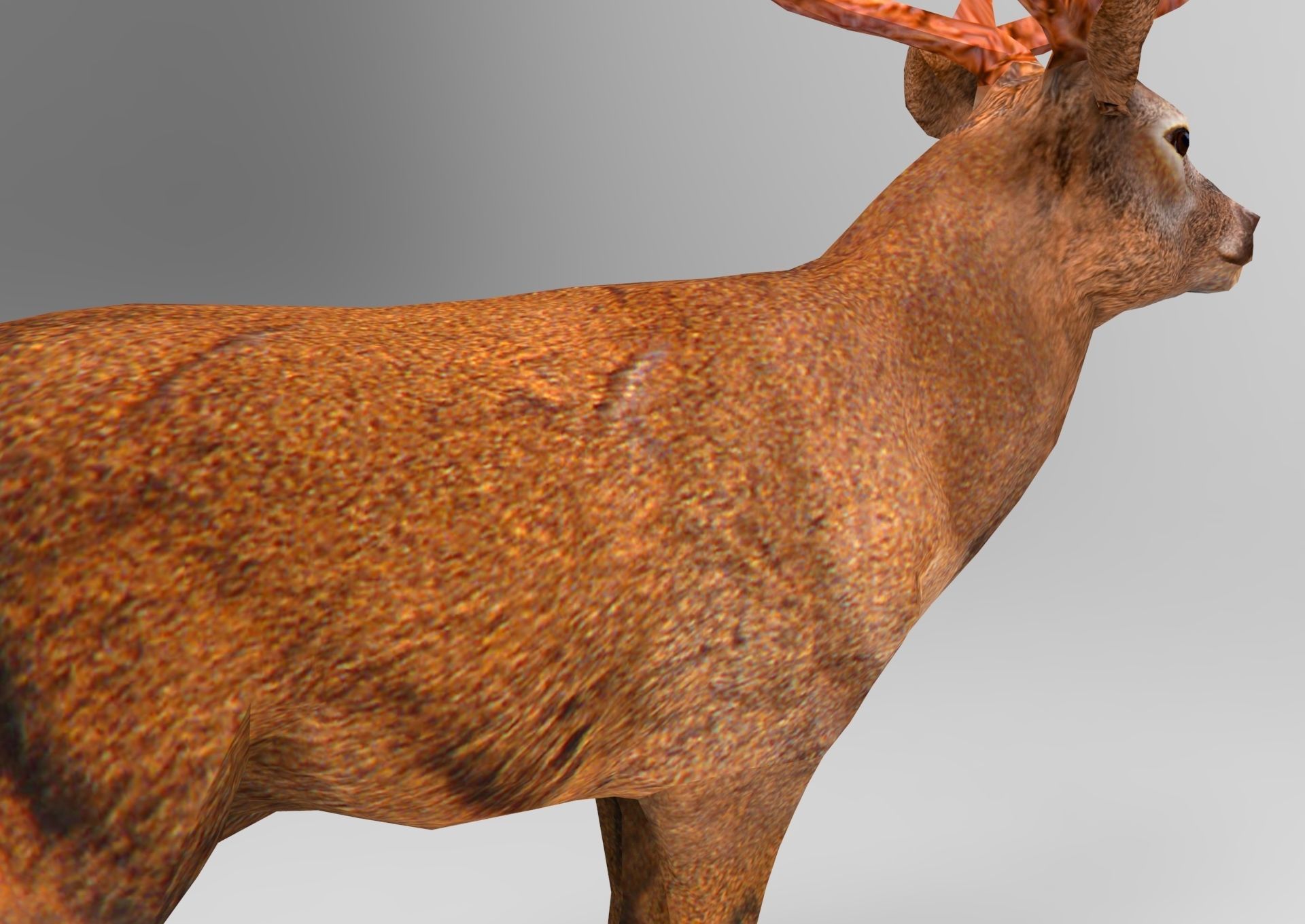 Red Game ready low poly deer model  Low-poly 3D model_15
