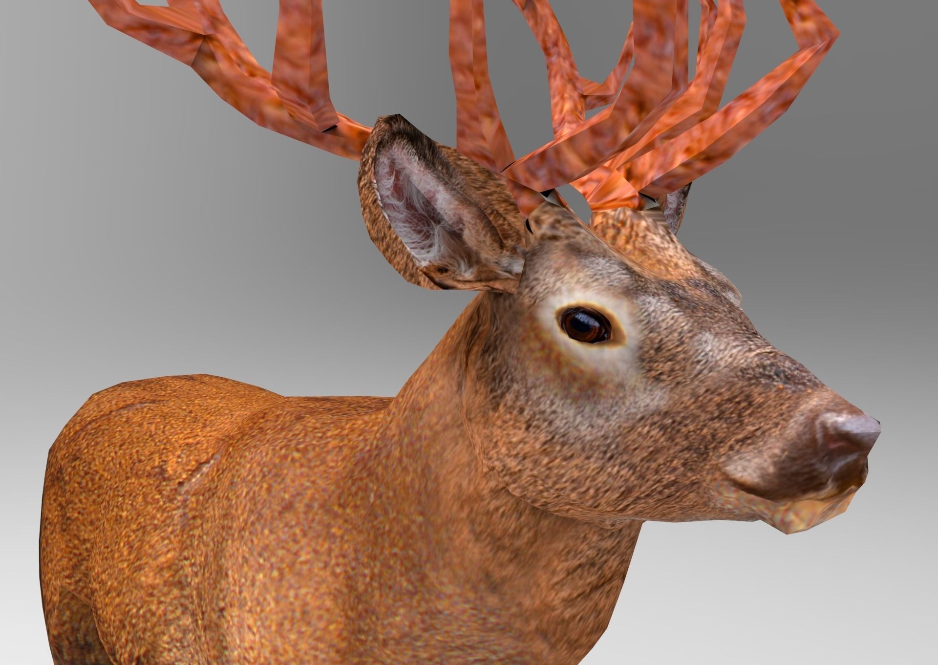 Red Game ready low poly deer model  Low-poly 3D model_14