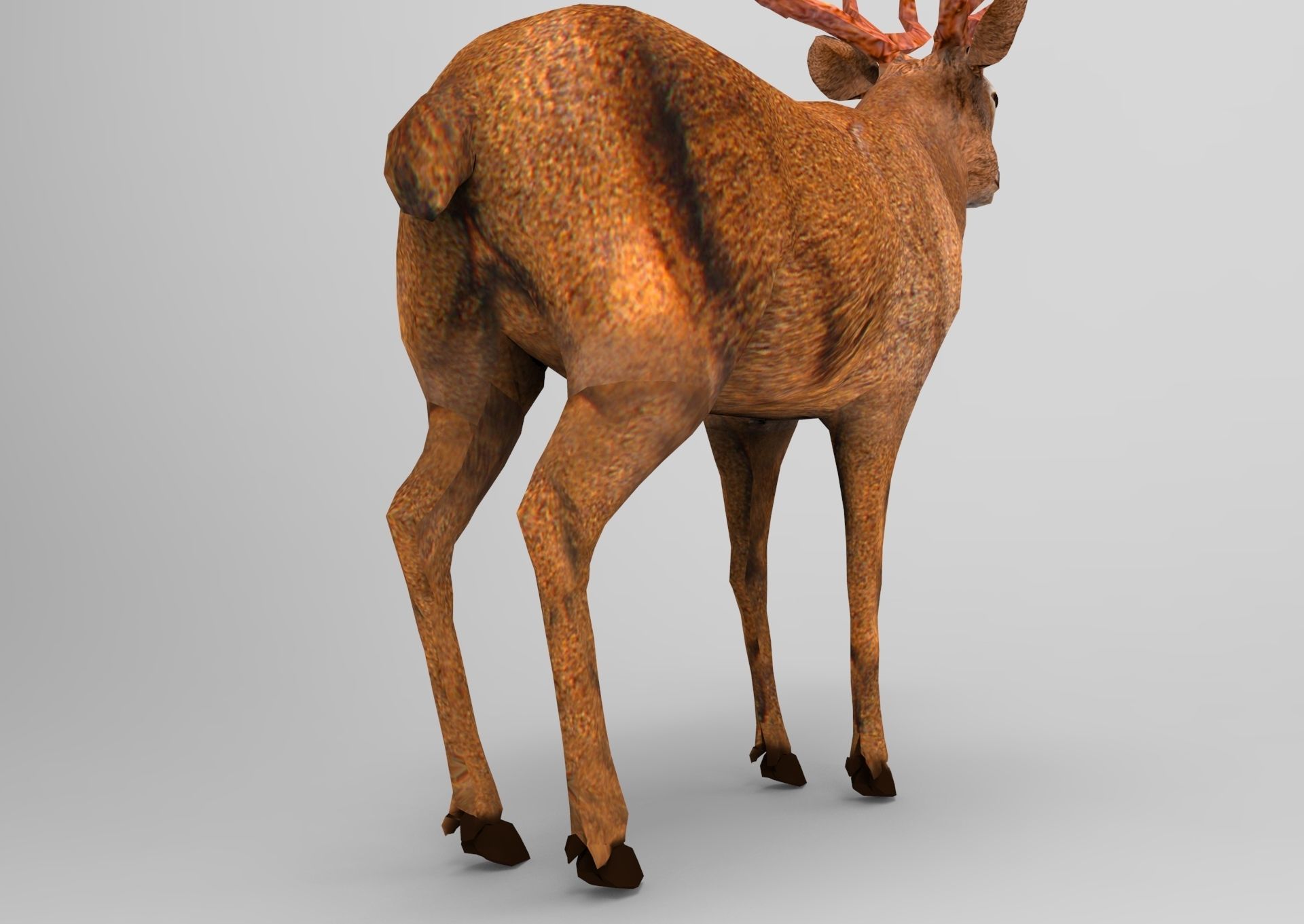 Red Game ready low poly deer model  Low-poly 3D model_20