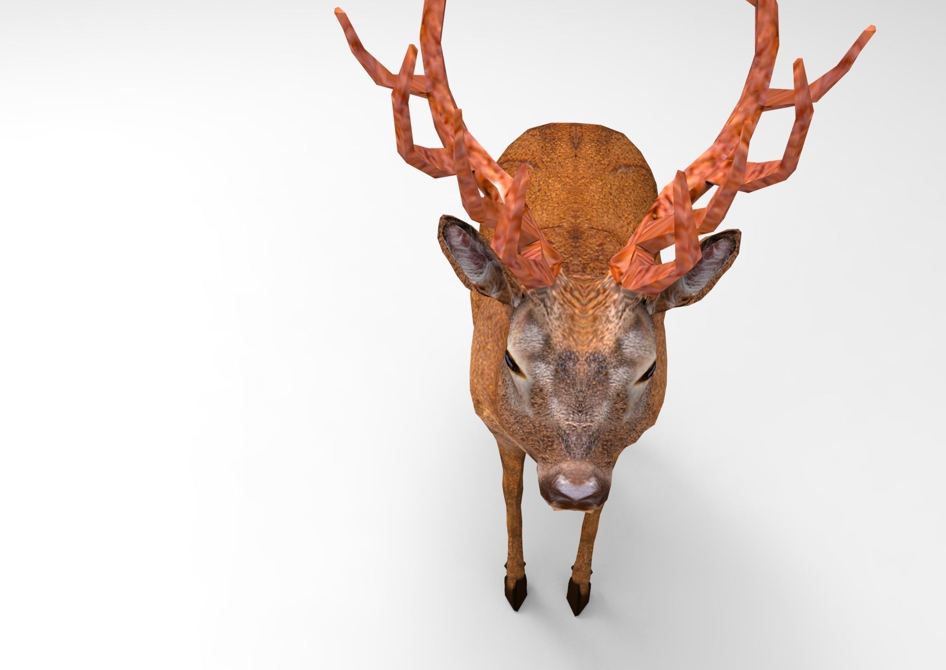 Red Game ready low poly deer model  Low-poly 3D model_22