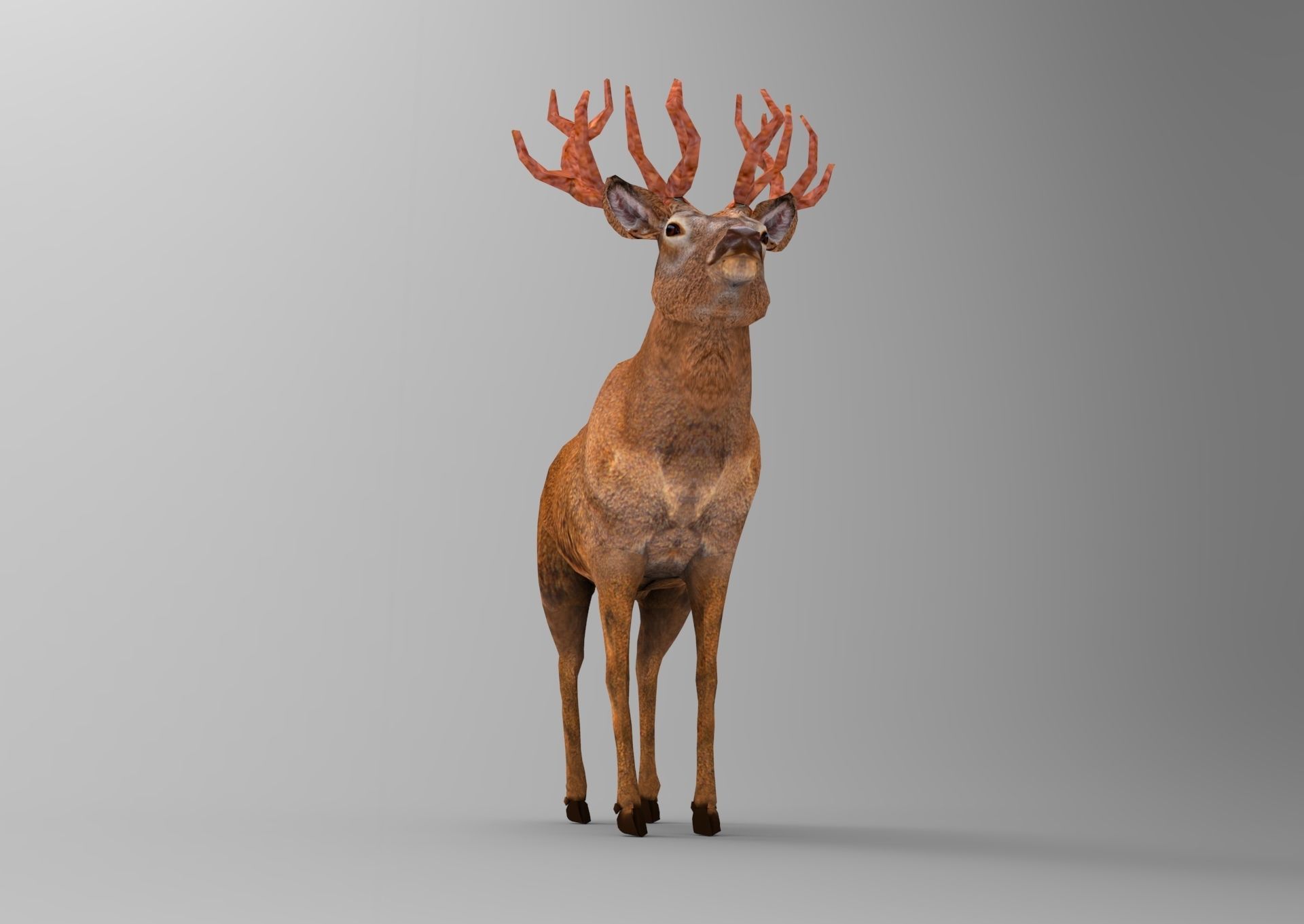 Red Game ready low poly deer model  Low-poly 3D model_10