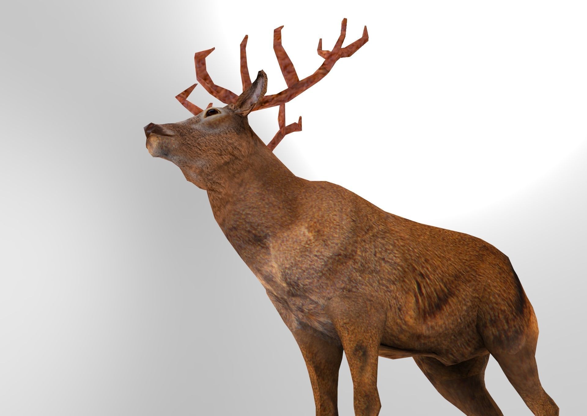 Red Game ready low poly deer model  Low-poly 3D model_17