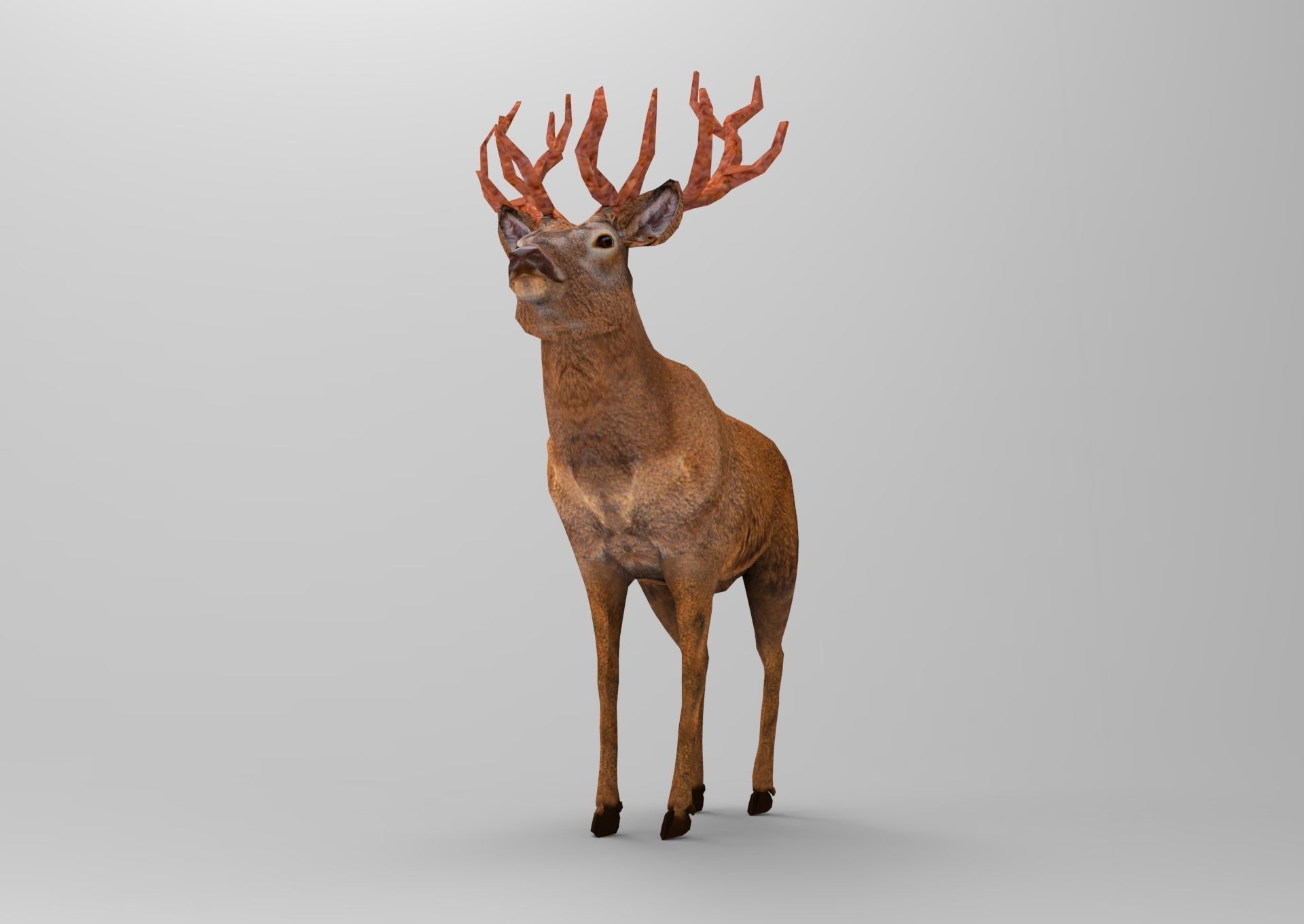 Red Game ready low poly deer model  Low-poly 3D model_11