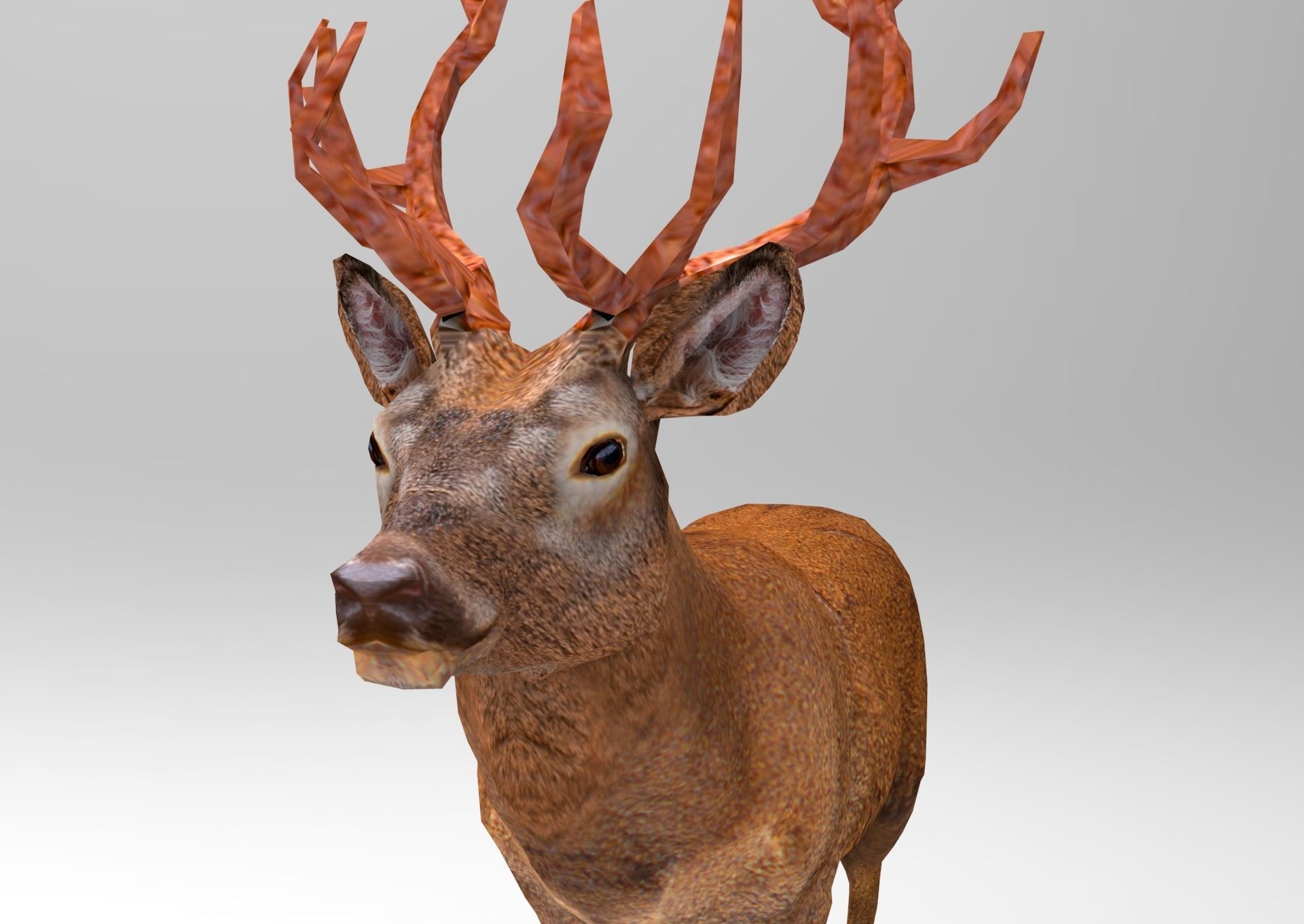 Red Game ready low poly deer model  Low-poly 3D model_25