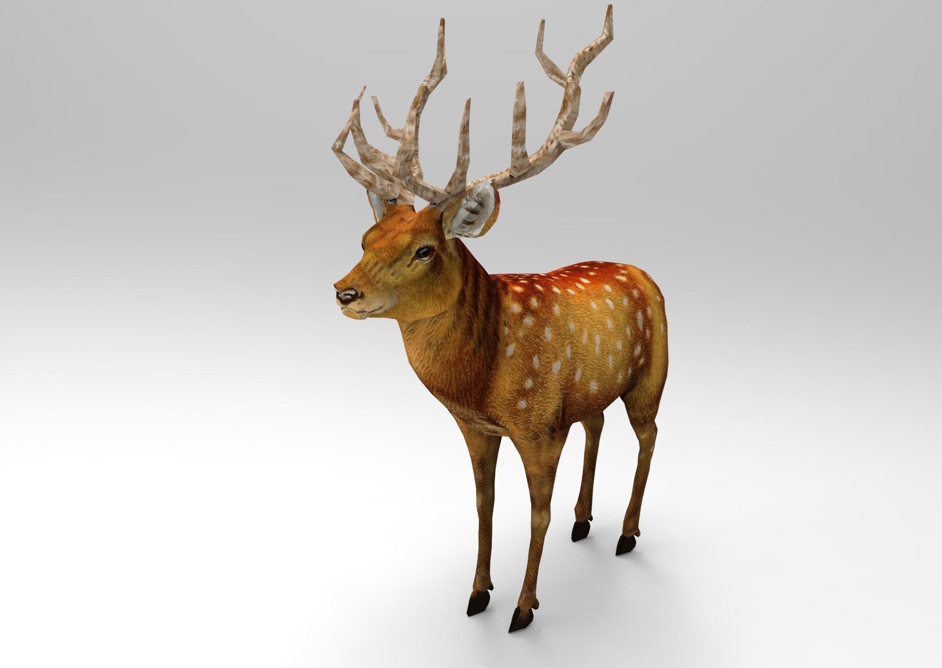 3d Deer low poly with antlers Low-poly 3D model_17