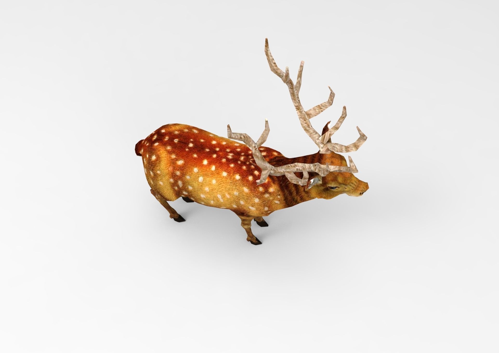 3d Deer low poly with antlers Low-poly 3D model_11