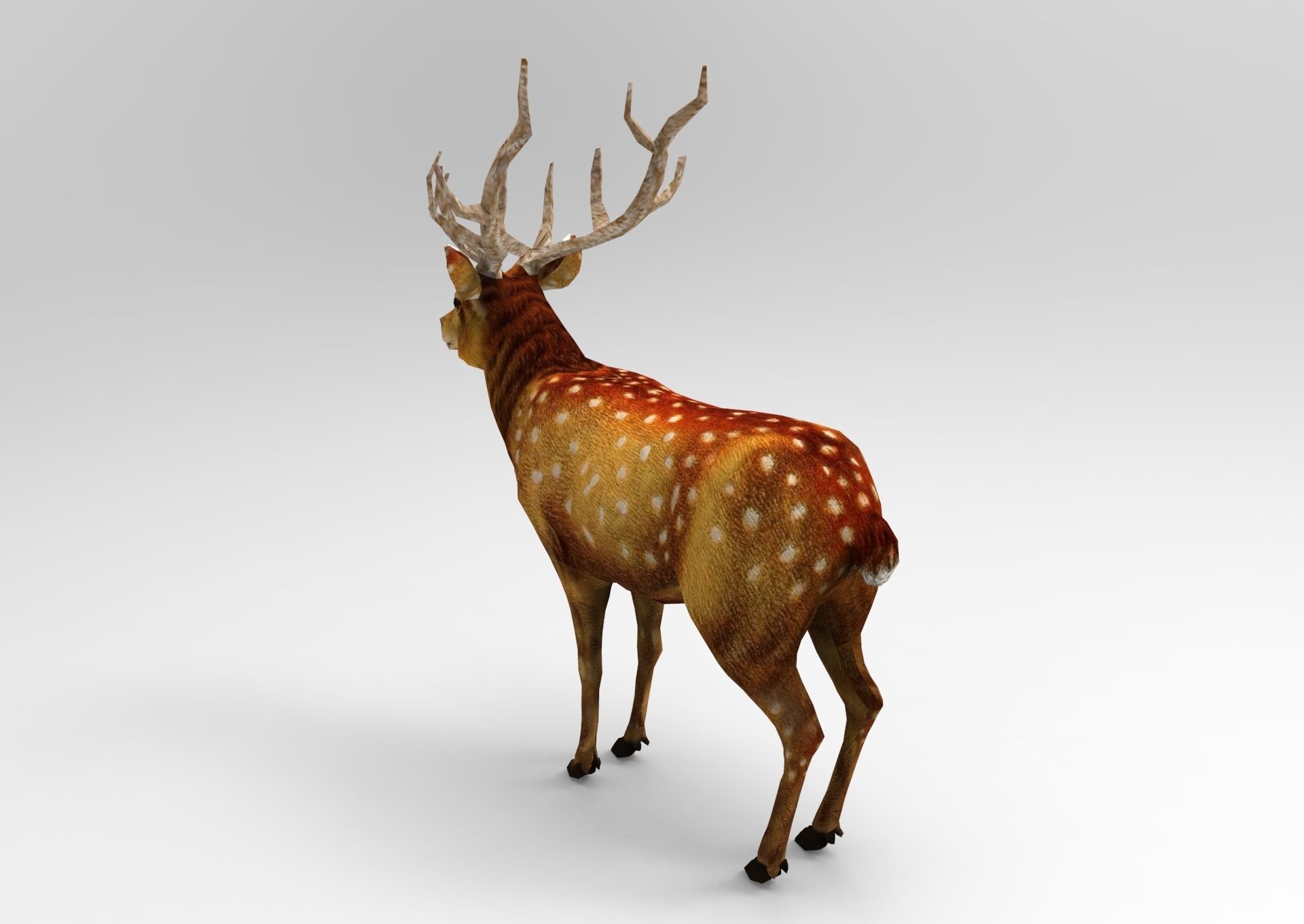 3d Deer low poly with antlers Low-poly 3D model_2