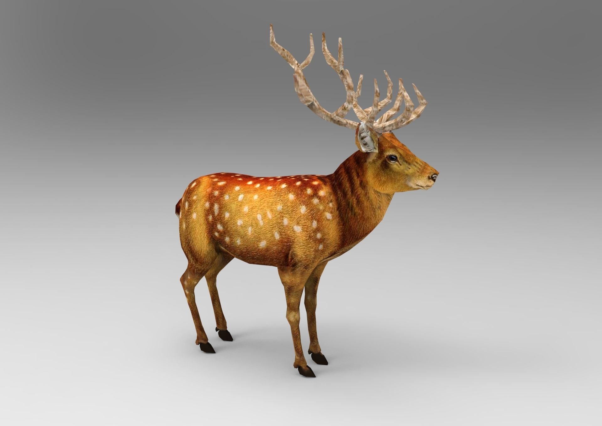 3d Deer low poly with antlers Low-poly 3D model_6