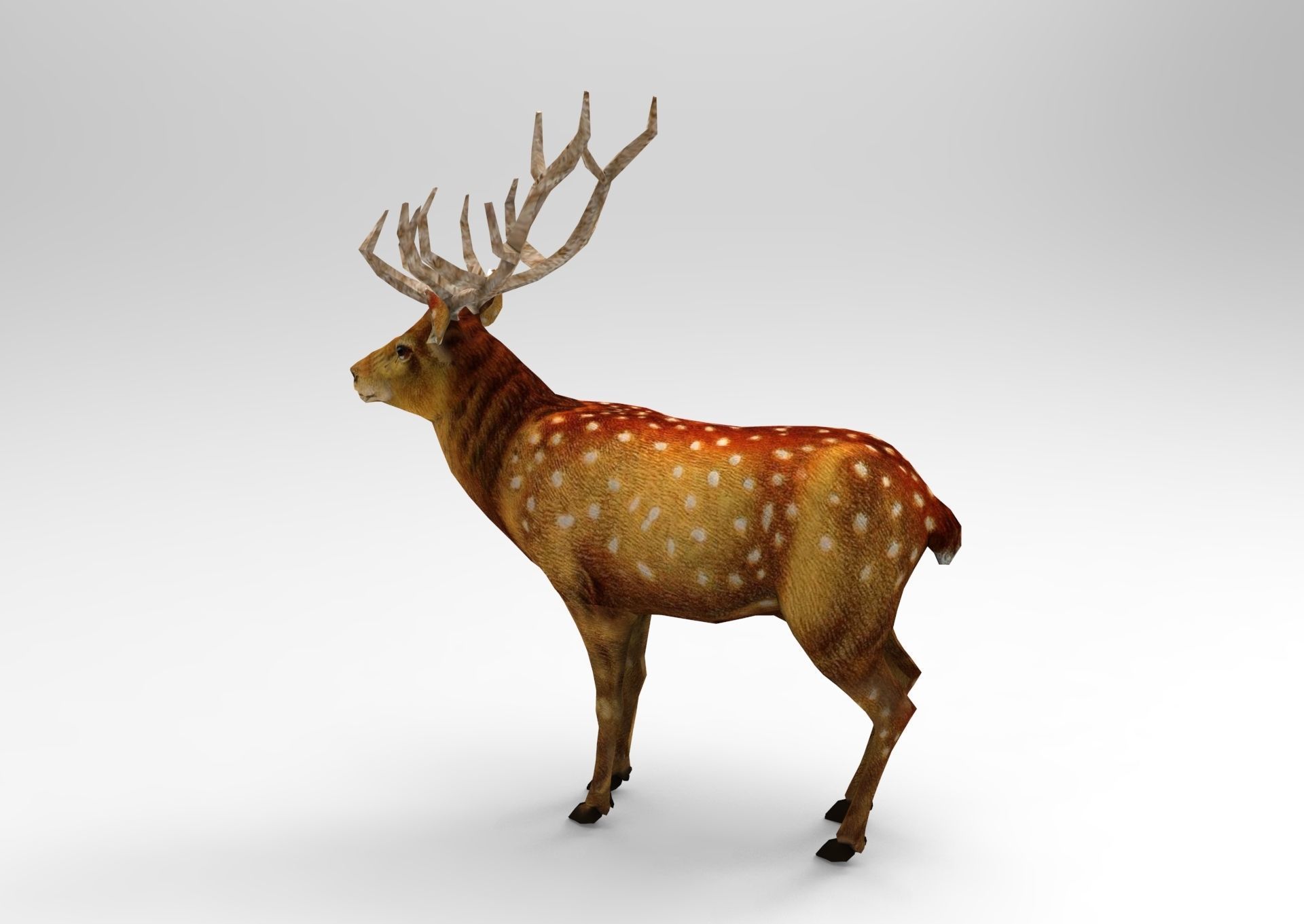 3d Deer low poly with antlers Low-poly 3D model_1