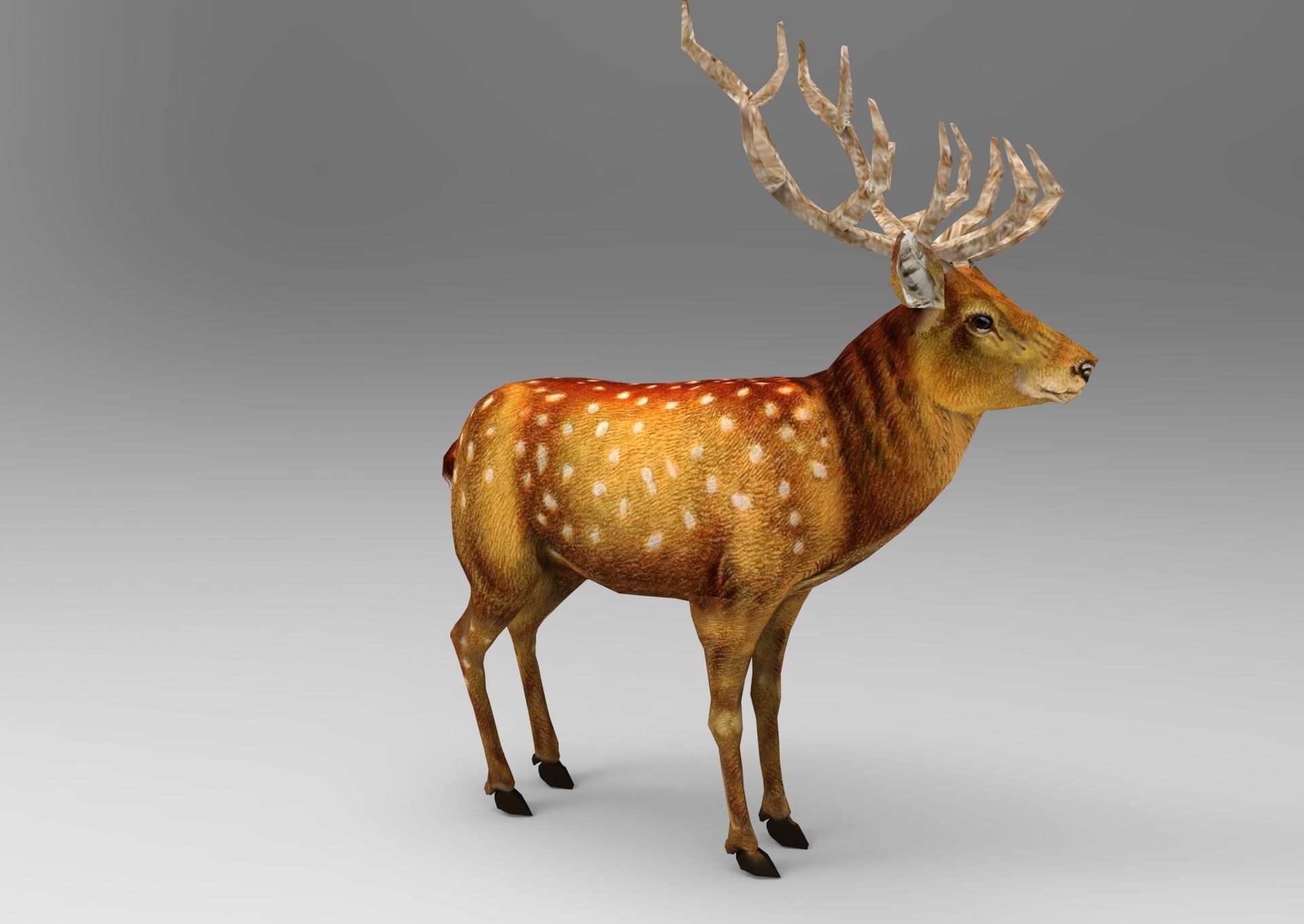 3d Deer low poly with antlers Low-poly 3D model_18
