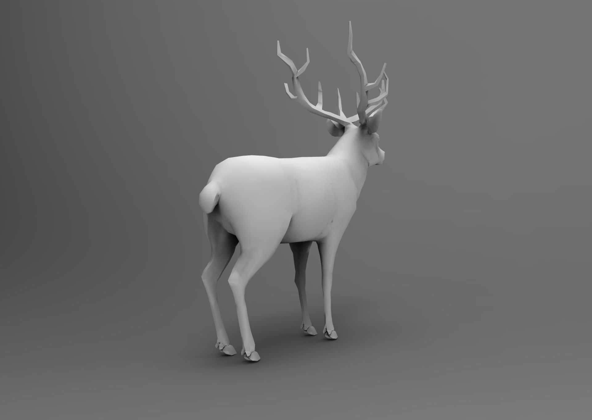 3d Deer low poly with antlers Low-poly 3D model_23