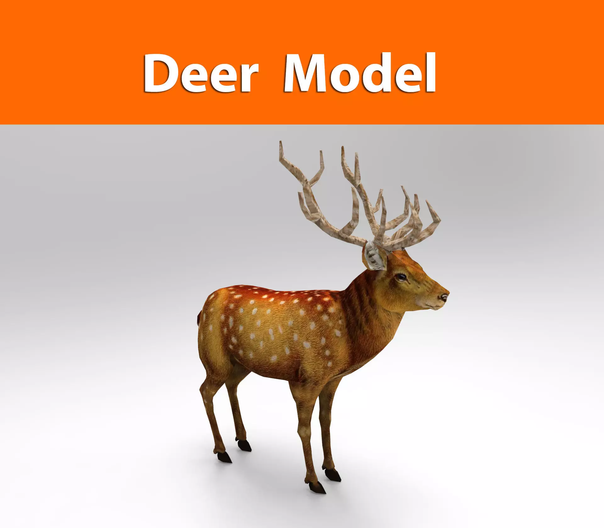 3d Deer low poly with antlers Low-poly 3D model_0