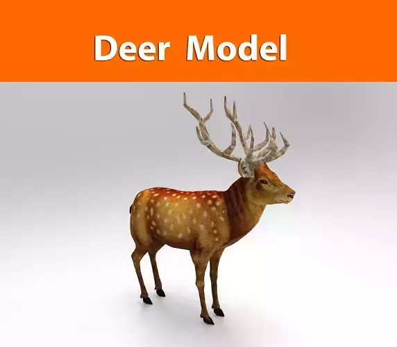 3d Deer low poly with antlers