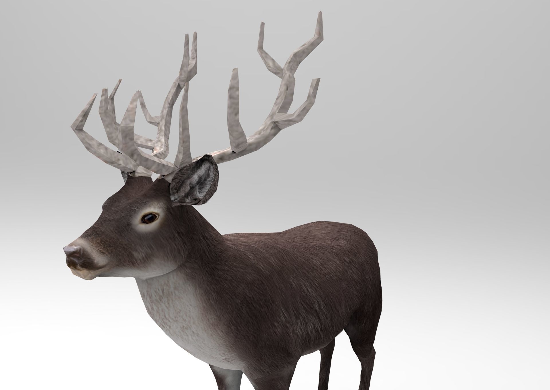 3D Black Deer low poly  Low-poly 3D model_18