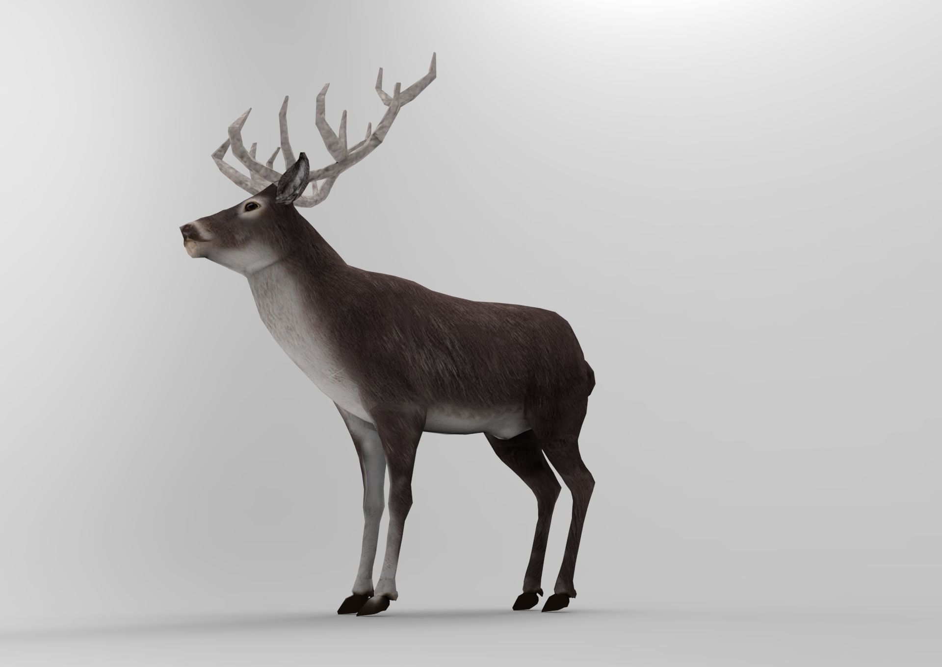 3D Black Deer low poly  Low-poly 3D model_15