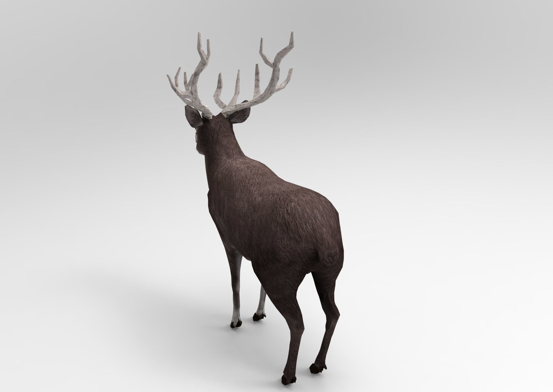 3D Black Deer low poly  Low-poly 3D model_3