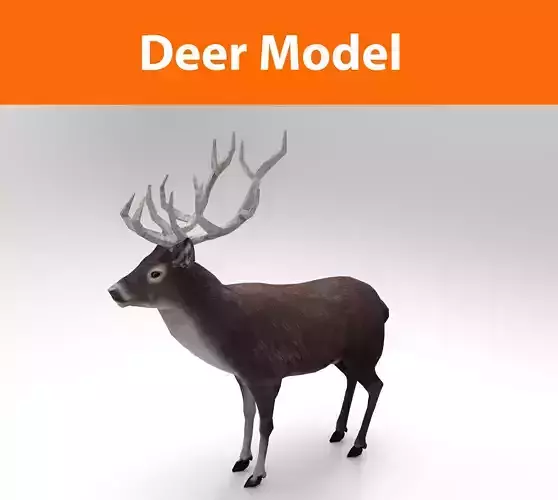 3D Black Deer low poly 