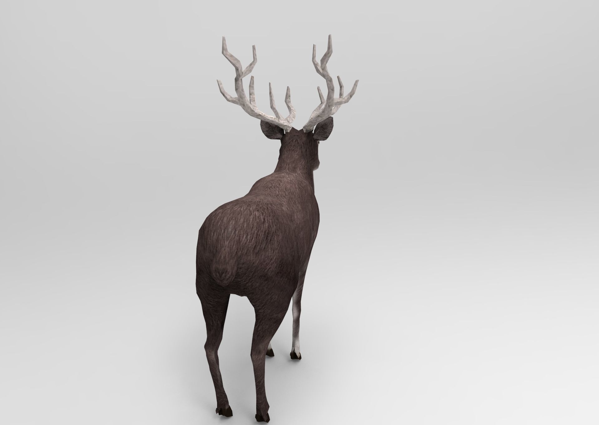3D Black Deer low poly  Low-poly 3D model_2