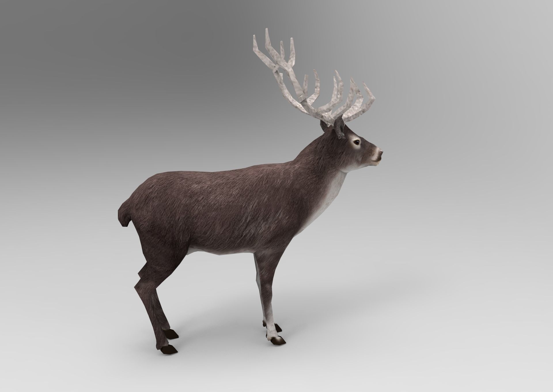 3D Black Deer low poly  Low-poly 3D model_1
