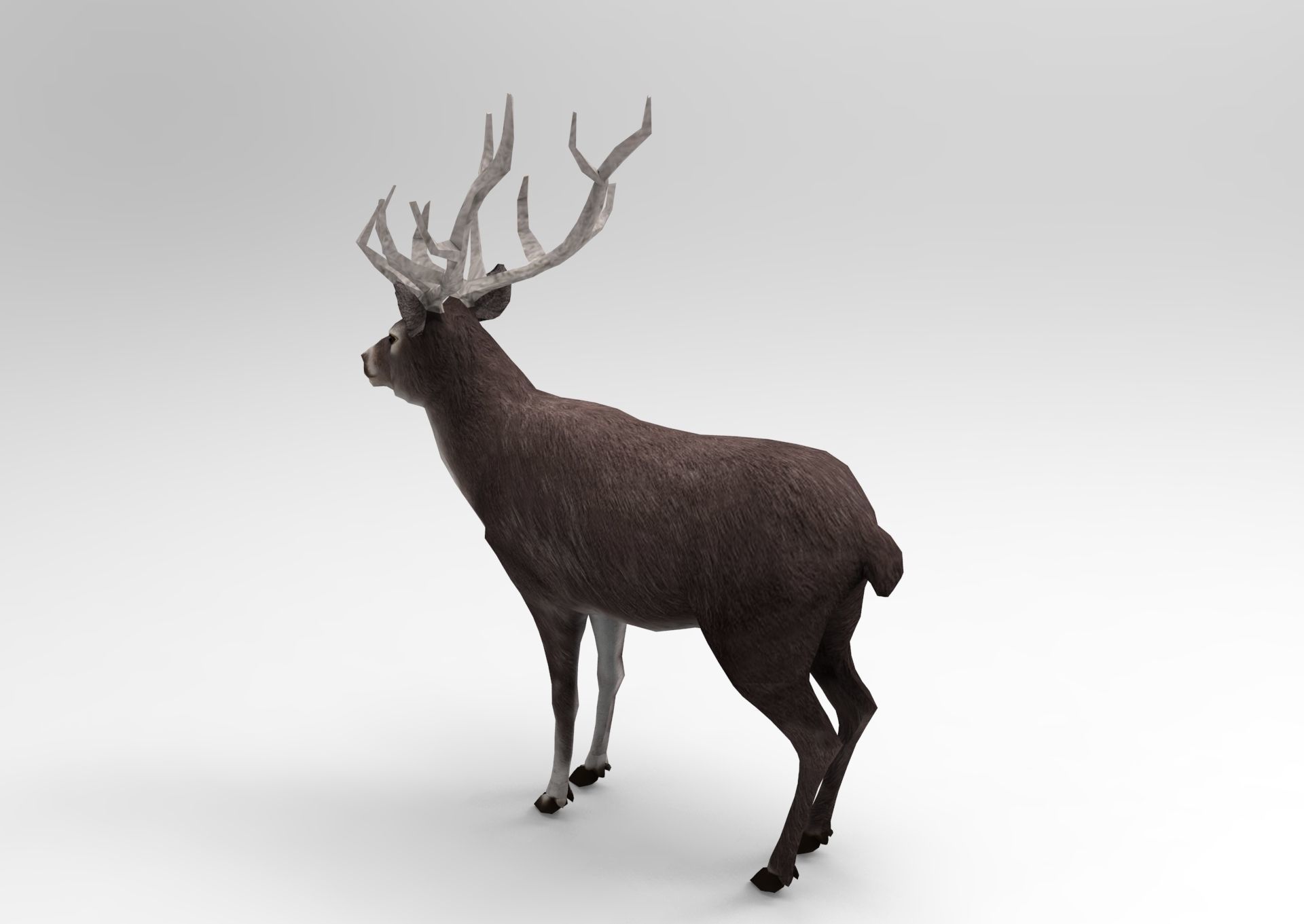 3D Black Deer low poly  Low-poly 3D model_5