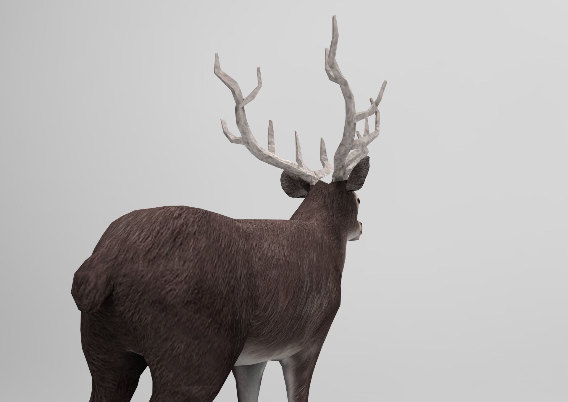 3D Black Deer low poly  Low-poly 3D model_20