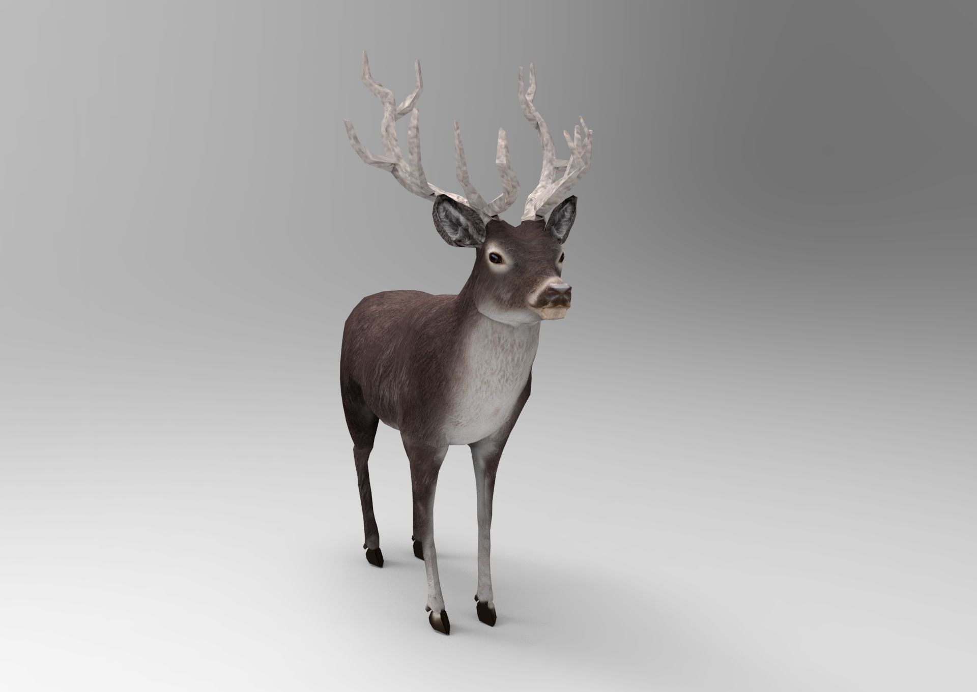 3D Black Deer low poly  Low-poly 3D model_8