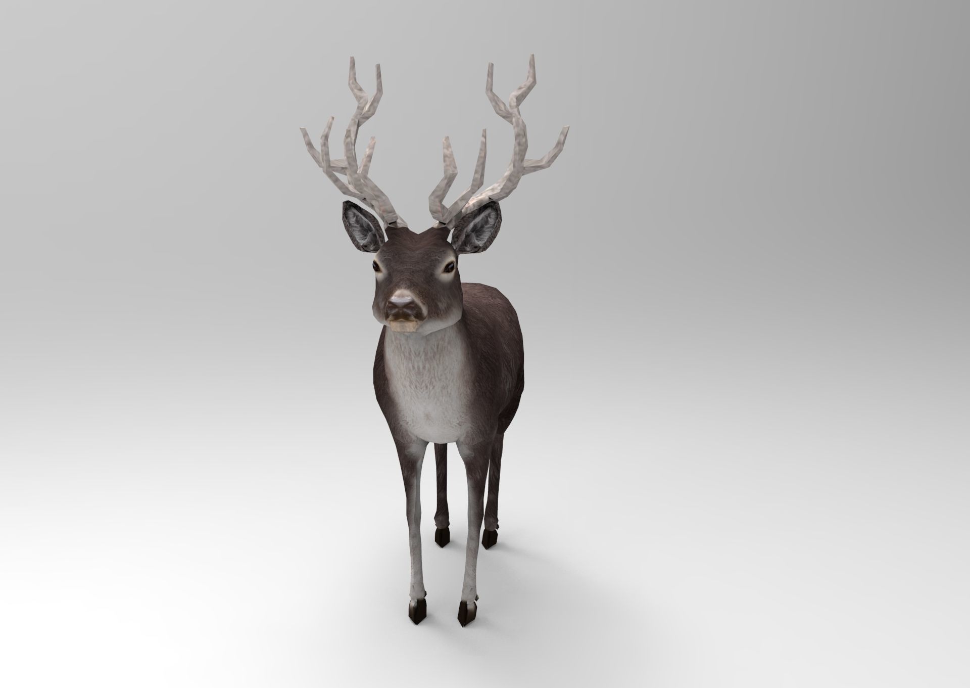 3D Black Deer low poly  Low-poly 3D model_9