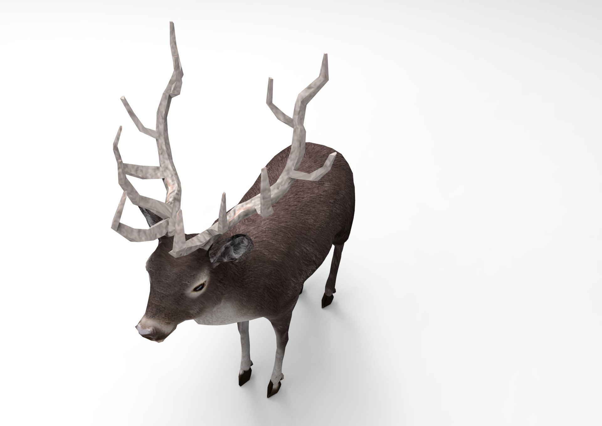 3D Black Deer low poly  Low-poly 3D model_16