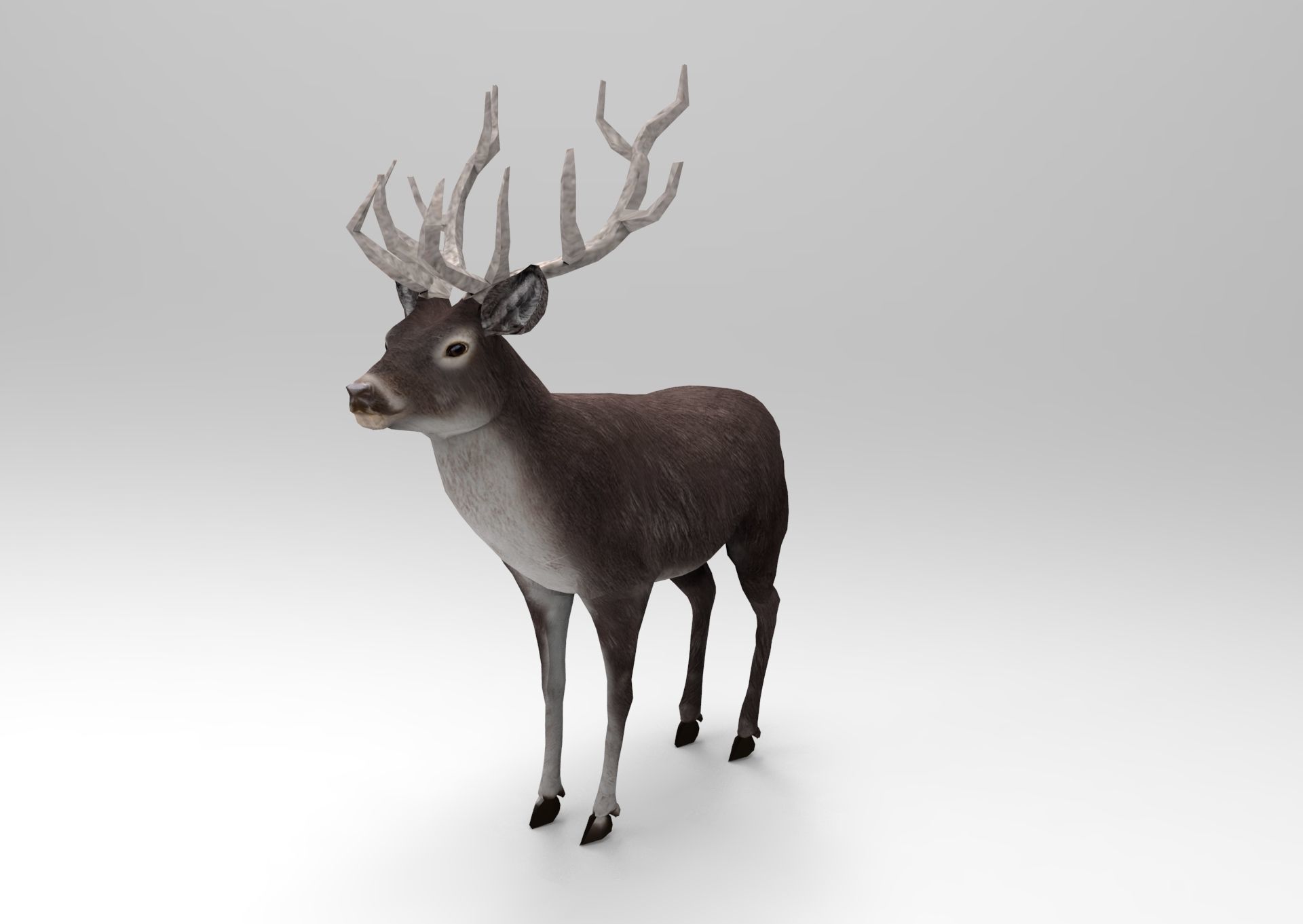 3D Black Deer low poly  Low-poly 3D model_11