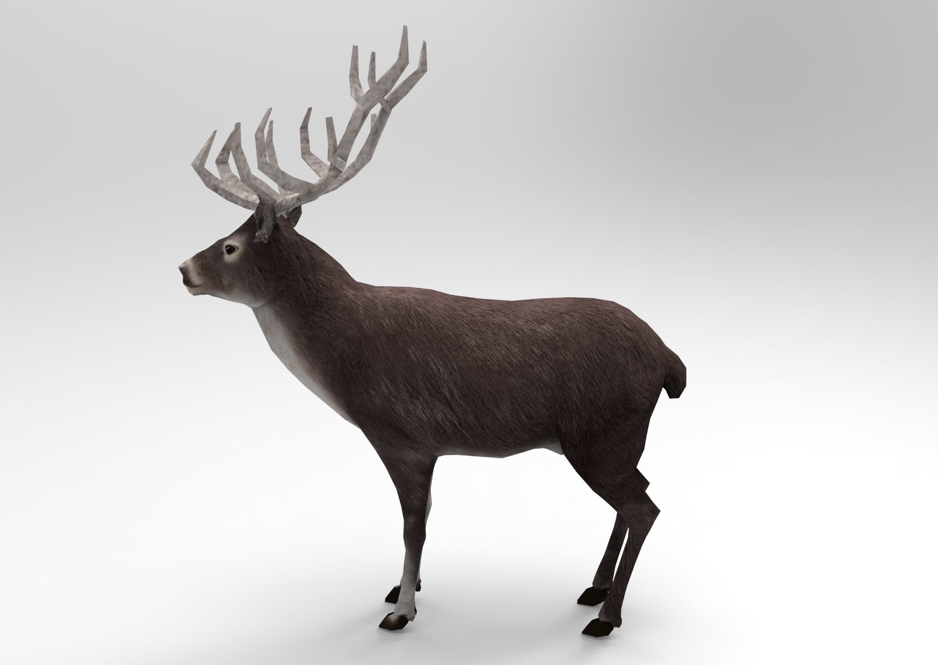 3D Black Deer low poly  Low-poly 3D model_4