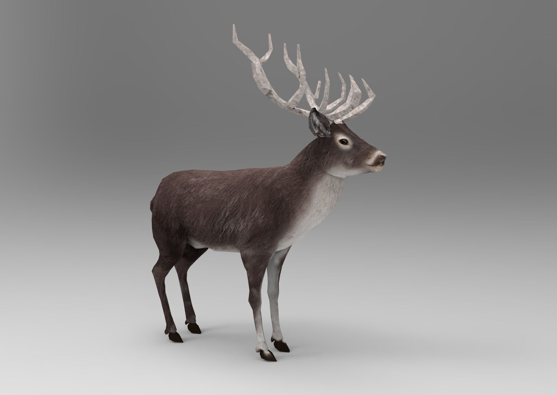 3D Black Deer low poly  Low-poly 3D model_7