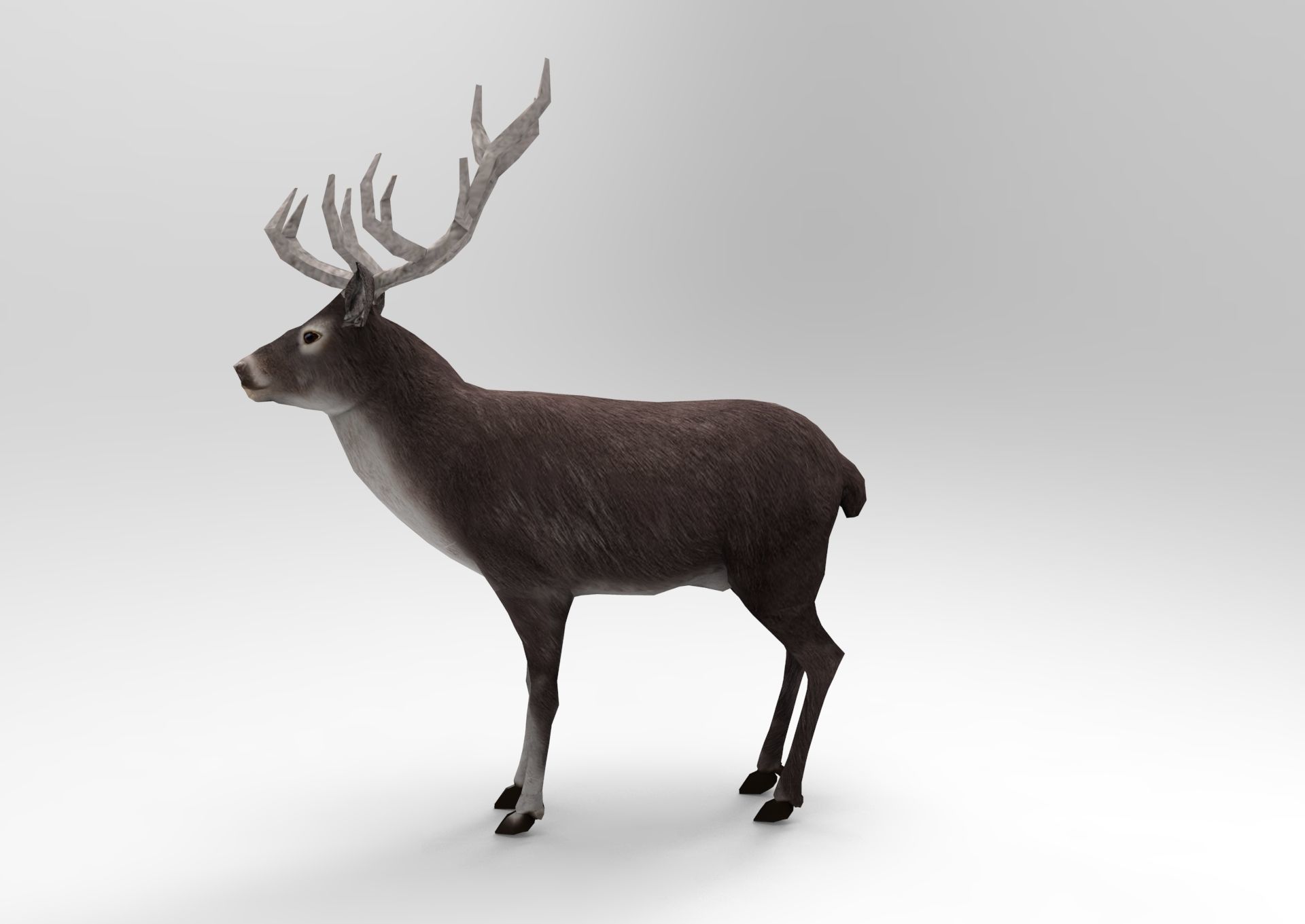 3D Black Deer low poly  Low-poly 3D model_10