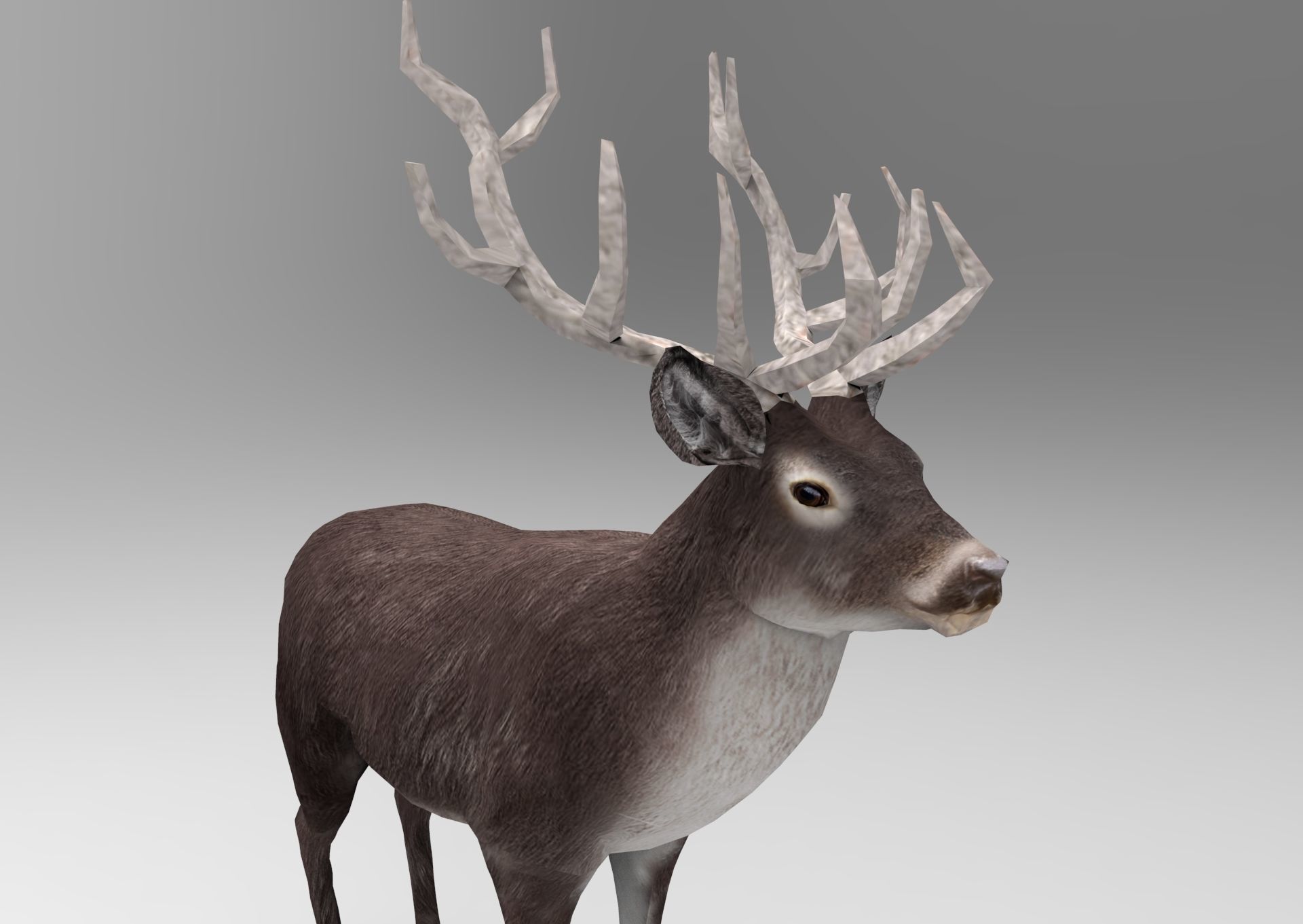 3D Black Deer low poly  Low-poly 3D model_17