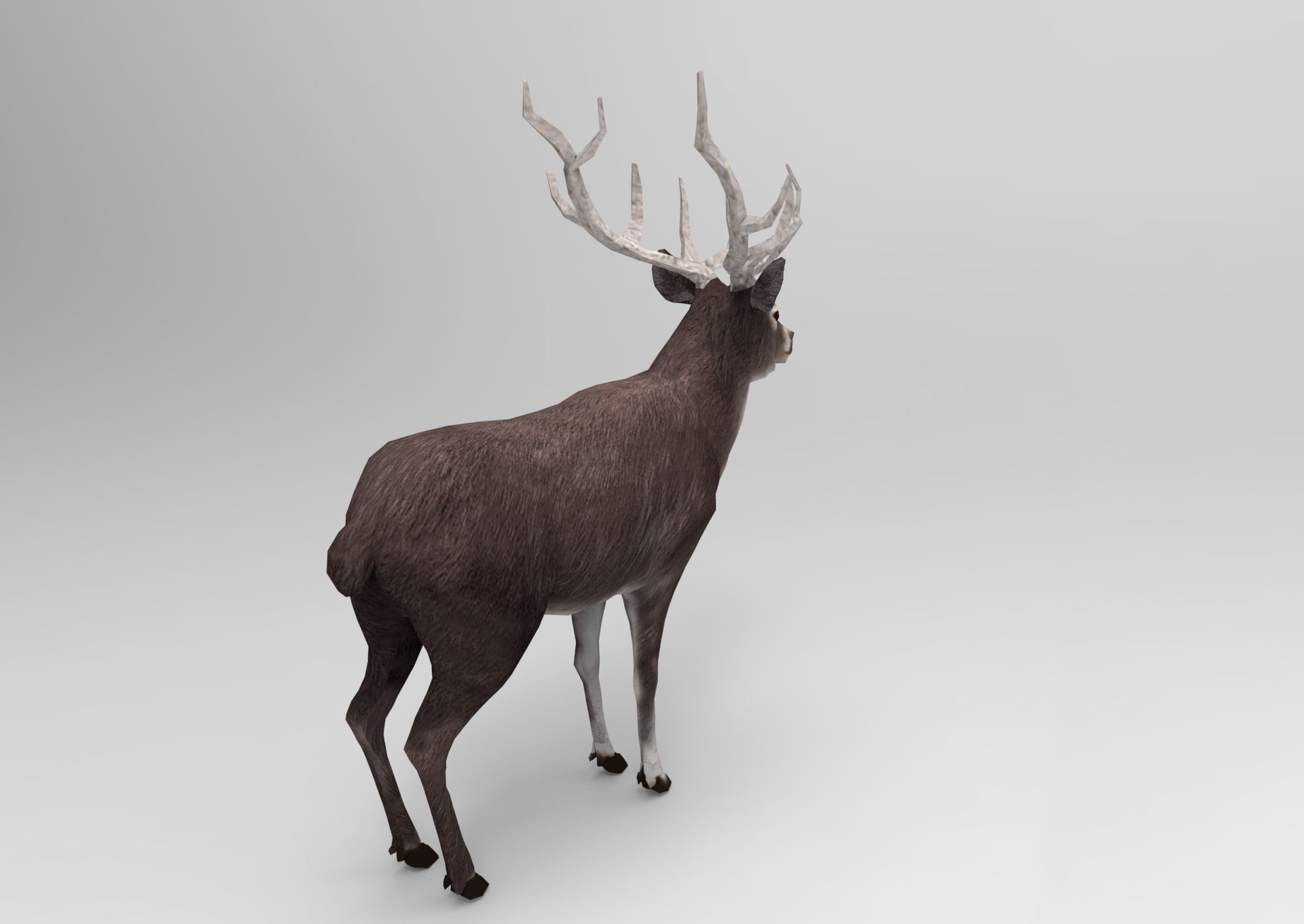 3D Black Deer low poly  Low-poly 3D model_6