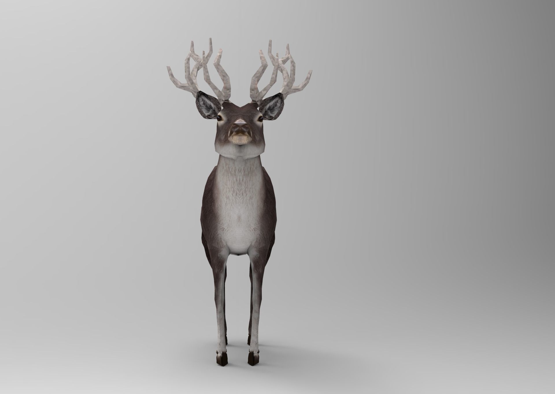 3D Black Deer low poly  Low-poly 3D model_14